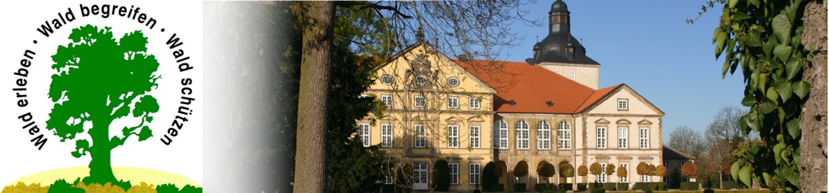 Förderverein Haus des Waldes e.V.