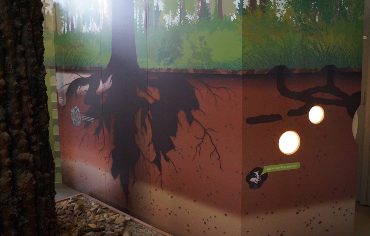 Ausstellungswand zum Waldboden